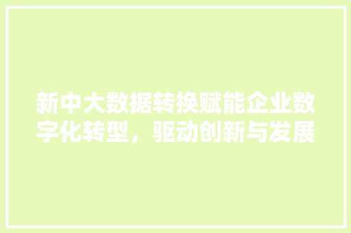 新中大数据转换赋能企业数字化转型，驱动创新与发展