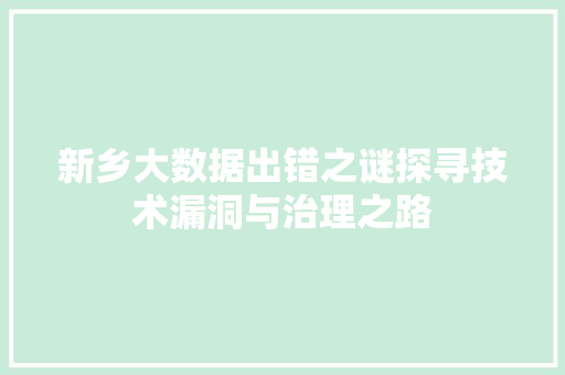 新乡大数据出错之谜探寻技术漏洞与治理之路