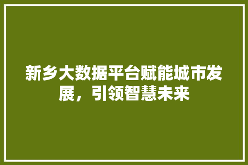 新乡大数据平台赋能城市发展，引领智慧未来