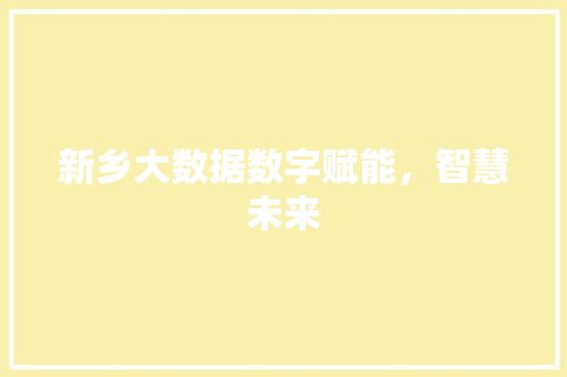 新乡大数据数字赋能，智慧未来