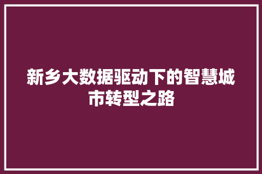 新乡大数据驱动下的智慧城市转型之路