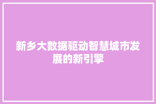 新乡大数据驱动智慧城市发展的新引擎