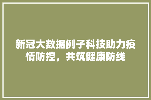 新冠大数据例子科技助力疫情防控，共筑健康防线