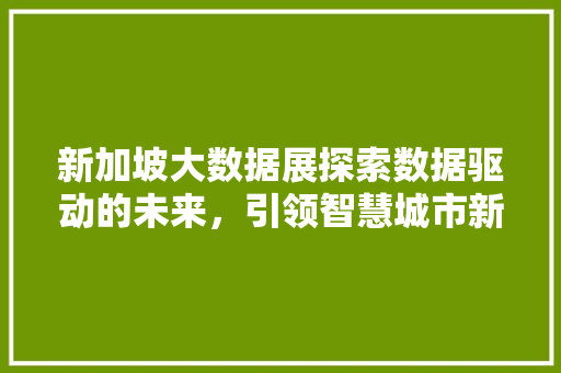 新加坡大数据展探索数据驱动的未来，引领智慧城市新篇章