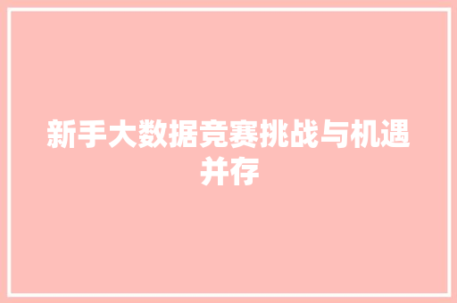 新手大数据竞赛挑战与机遇并存