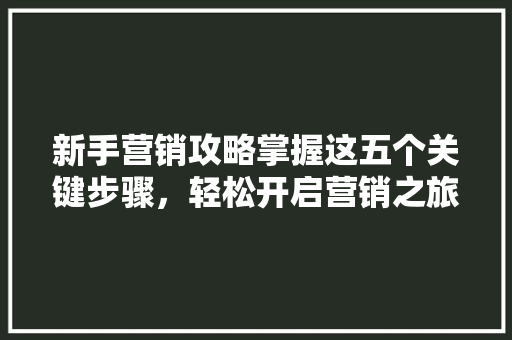 新手营销攻略掌握这五个关键步骤，轻松开启营销之旅