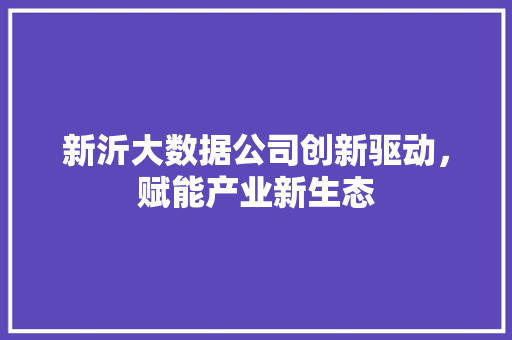 新沂大数据公司创新驱动，赋能产业新生态
