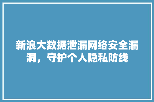新浪大数据泄漏网络安全漏洞，守护个人隐私防线