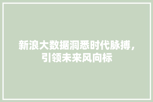 新浪大数据洞悉时代脉搏，引领未来风向标