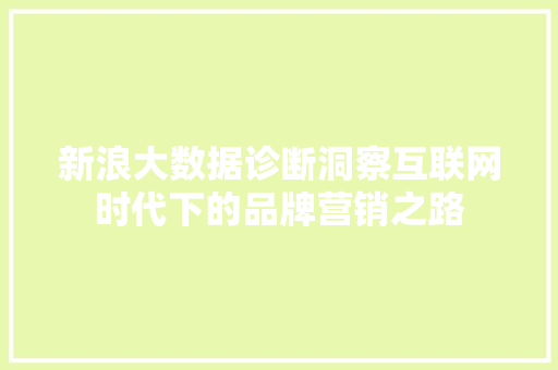新浪大数据诊断洞察互联网时代下的品牌营销之路