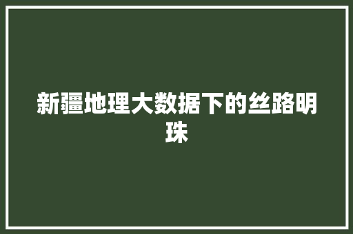 新疆地理大数据下的丝路明珠