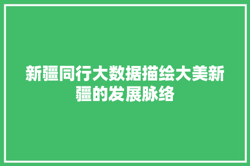 新疆同行大数据描绘大美新疆的发展脉络
