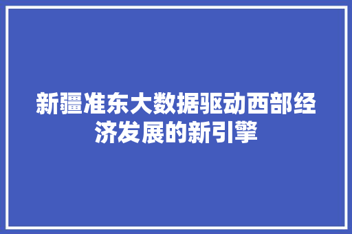 新疆准东大数据驱动西部经济发展的新引擎