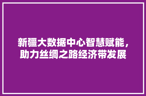 新疆大数据中心智慧赋能，助力丝绸之路经济带发展