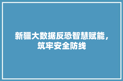 新疆大数据反恐智慧赋能，筑牢安全防线