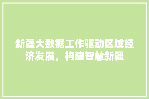 新疆大数据工作驱动区域经济发展，构建智慧新疆