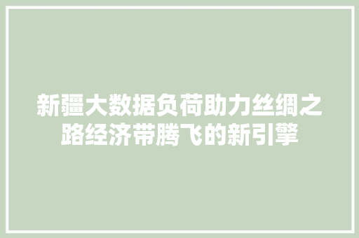 新疆大数据负荷助力丝绸之路经济带腾飞的新引擎