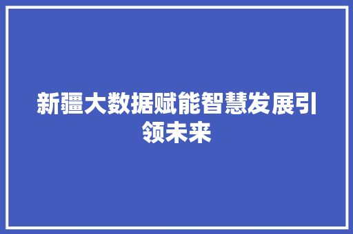 新疆大数据赋能智慧发展引领未来