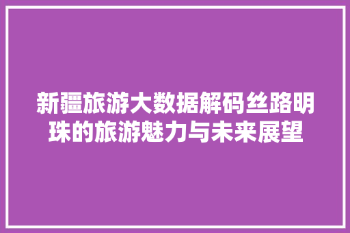 新疆旅游大数据解码丝路明珠的旅游魅力与未来展望