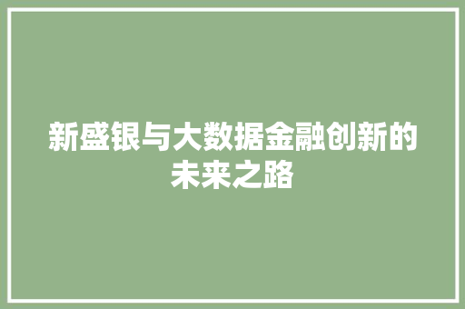 新盛银与大数据金融创新的未来之路