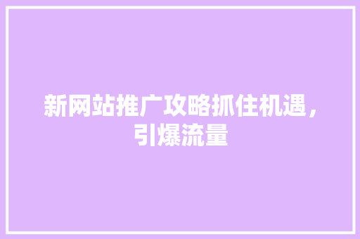 新网站推广攻略抓住机遇，引爆流量
