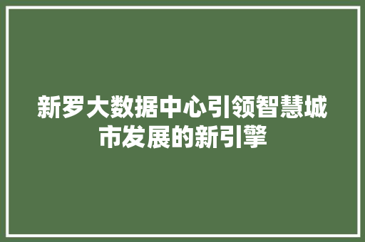 新罗大数据中心引领智慧城市发展的新引擎