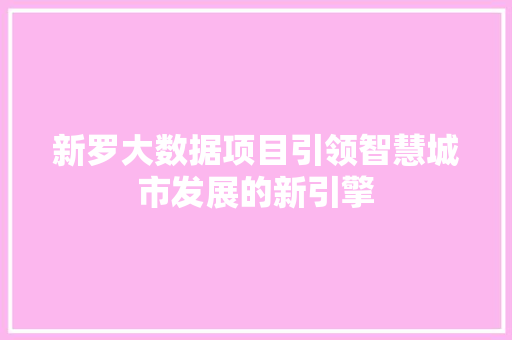 新罗大数据项目引领智慧城市发展的新引擎