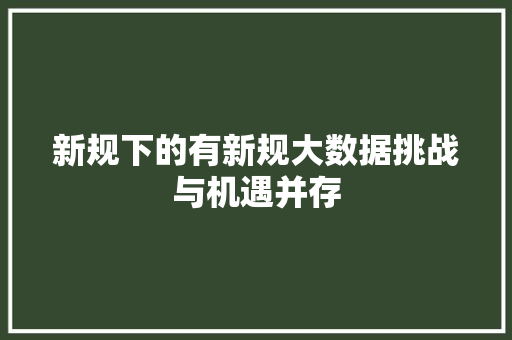 新规下的有新规大数据挑战与机遇并存