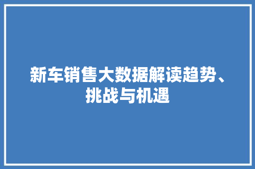 新车销售大数据解读趋势、挑战与机遇