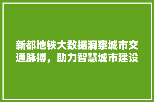 新都地铁大数据洞察城市交通脉搏，助力智慧城市建设
