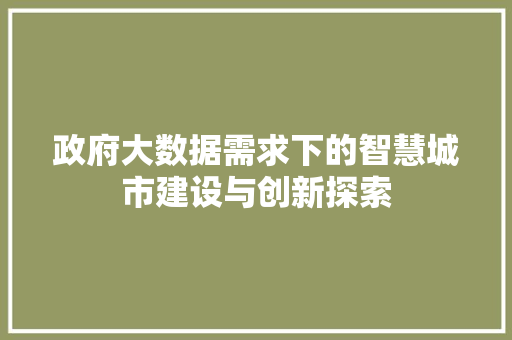 政府大数据需求下的智慧城市建设与创新探索