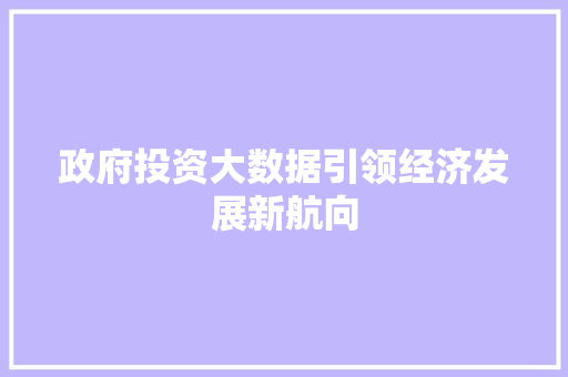 政府投资大数据引领经济发展新航向
