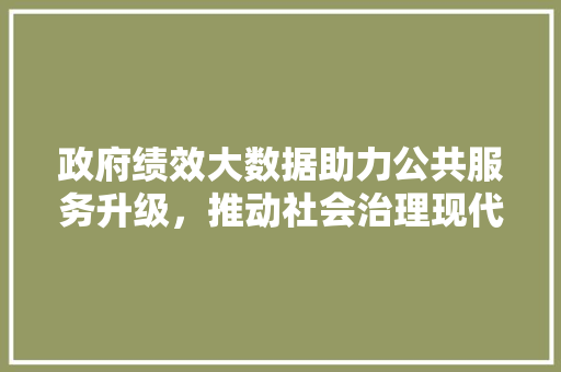政府绩效大数据助力公共服务升级，推动社会治理现代化
