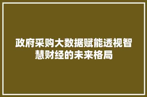 政府采购大数据赋能透视智慧财经的未来格局