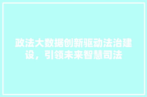 政法大数据创新驱动法治建设，引领未来智慧司法