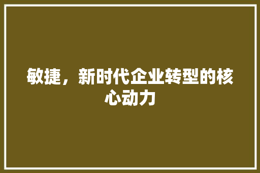 敏捷，新时代企业转型的核心动力