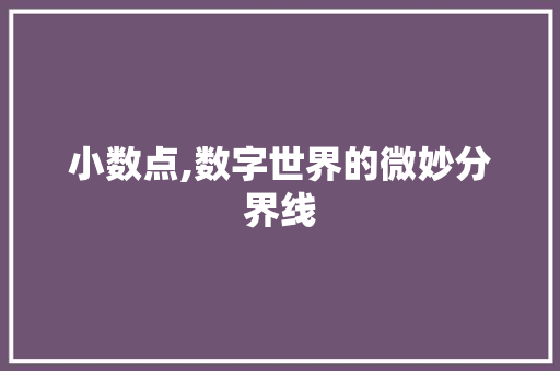 小数点,数字世界的微妙分界线