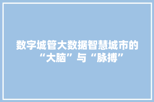 数字城管大数据智慧城市的“大脑”与“脉搏”