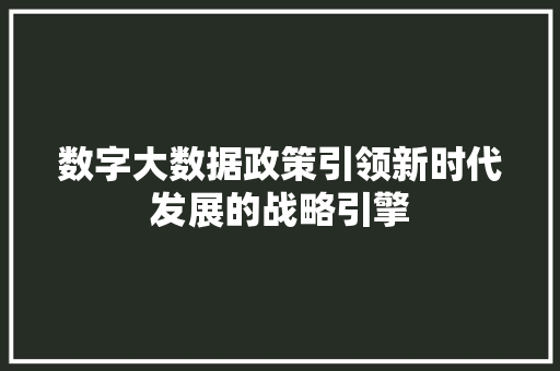 数字大数据政策引领新时代发展的战略引擎