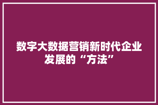 数字大数据营销新时代企业发展的“方法”