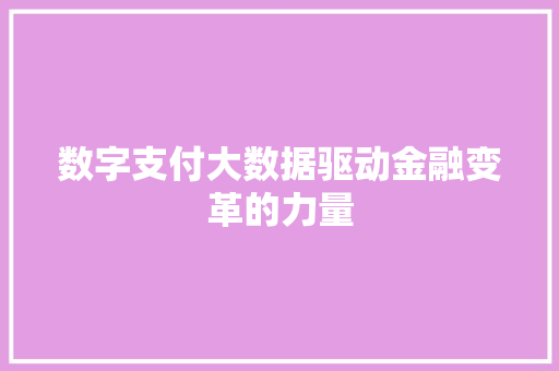 数字支付大数据驱动金融变革的力量