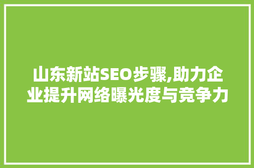 山东新站SEO步骤,助力企业提升网络曝光度与竞争力
