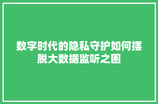 数字时代的隐私守护如何摆脱大数据监听之困