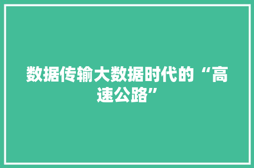 数据传输大数据时代的“高速公路”