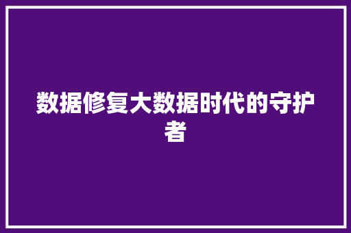 数据修复大数据时代的守护者