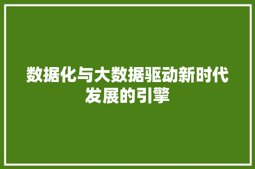 数据化与大数据驱动新时代发展的引擎