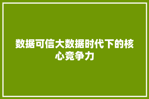 数据可信大数据时代下的核心竞争力