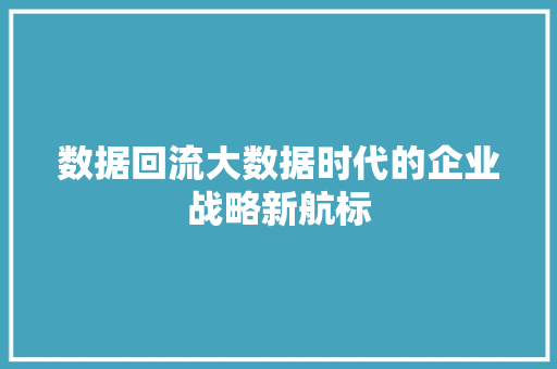 数据回流大数据时代的企业战略新航标