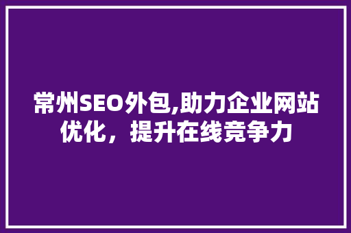 常州SEO外包,助力企业网站优化，提升在线竞争力
