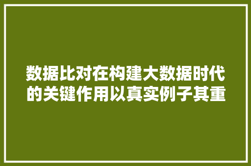 数据比对在构建大数据时代的关键作用以真实例子其重要性与价值